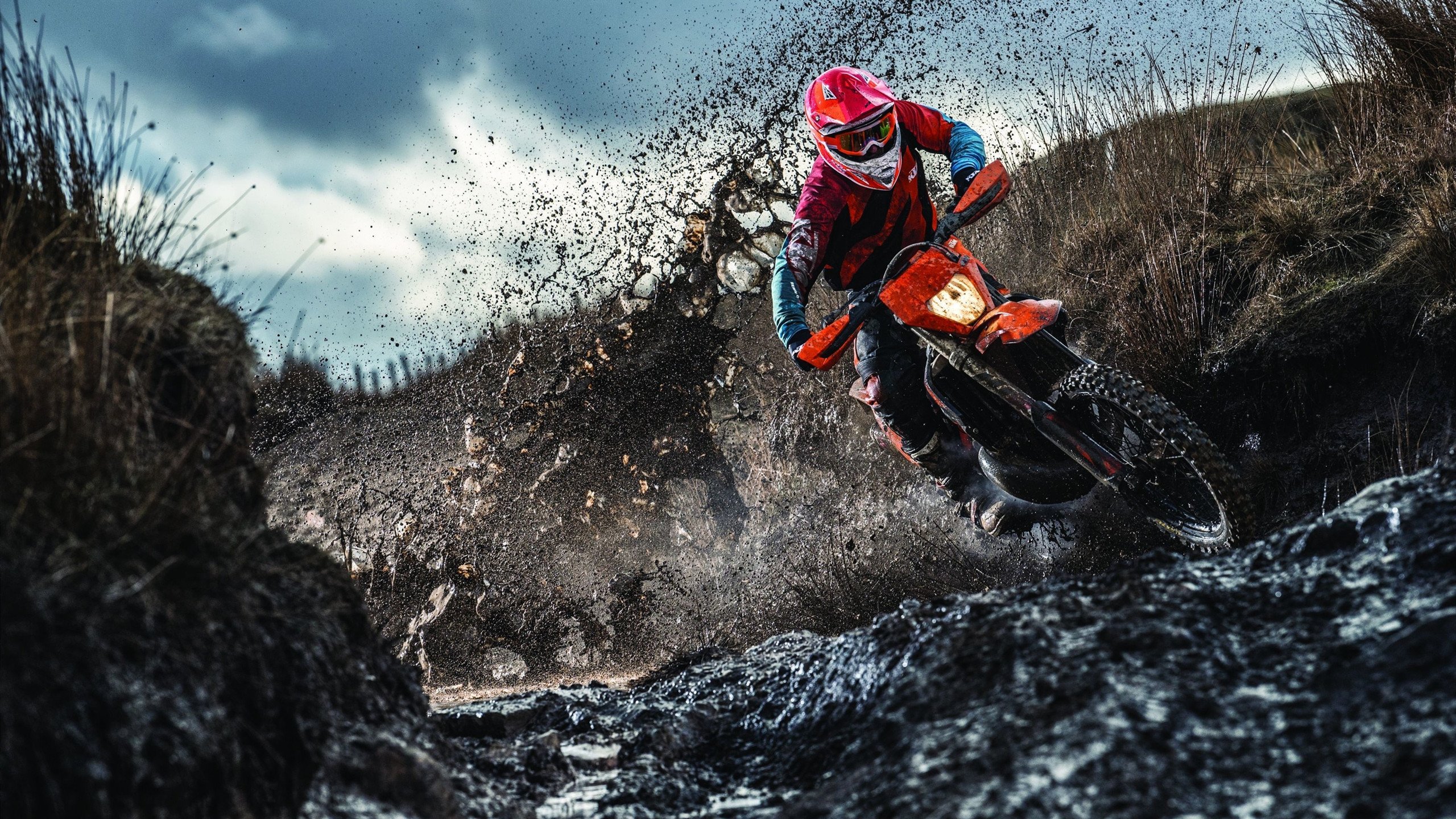 勇士新秀崭露头角,成为球队未来希望,勇士错过的新秀