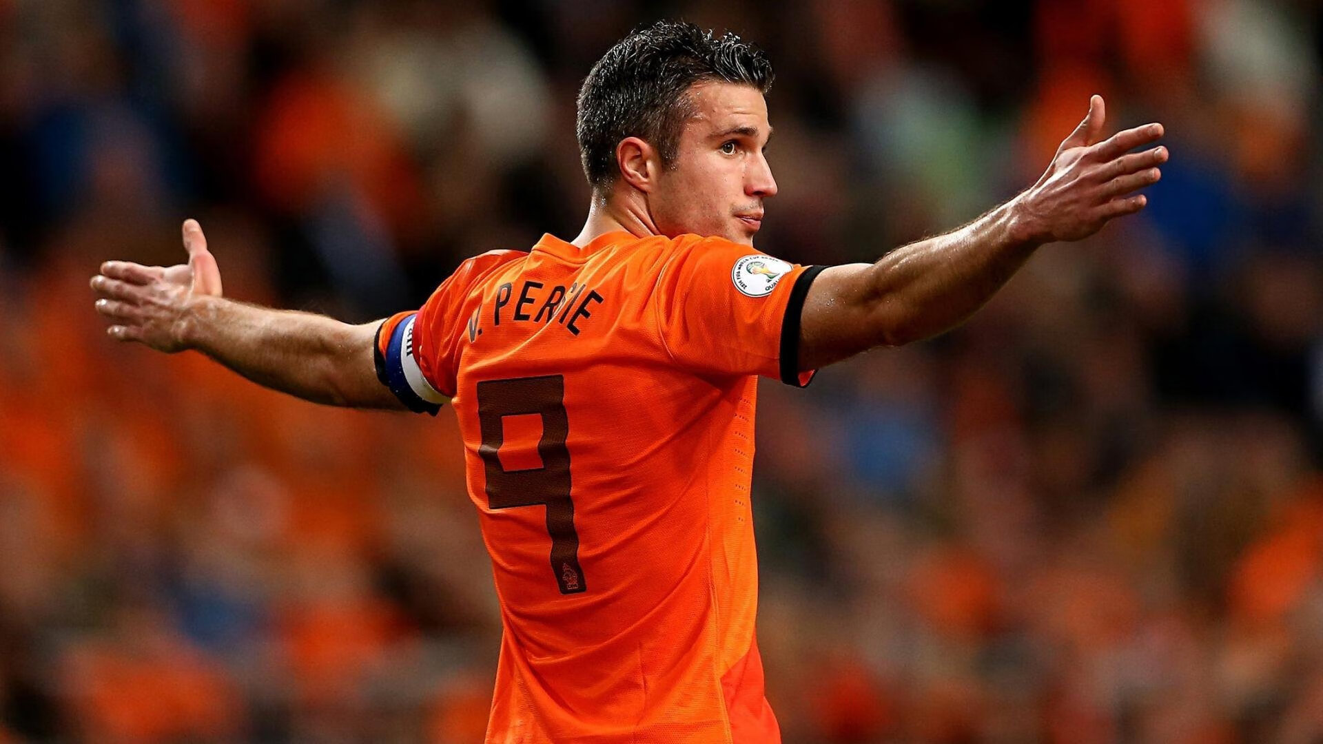 摩洛哥马术协会建立马匹基因数据库，促进马匹选育与训练。，摩洛哥马赛克简介