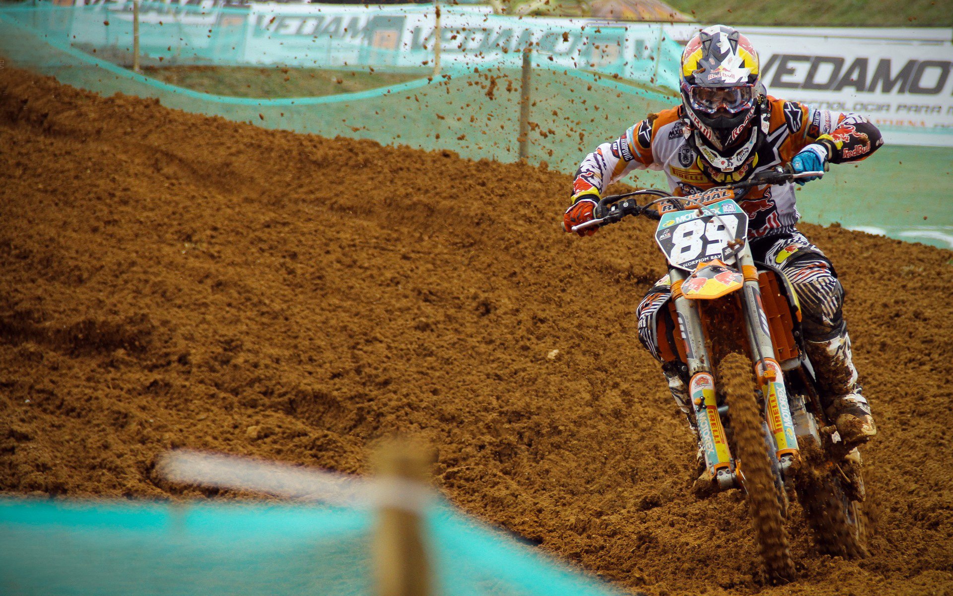 瑞士马术协会举办“马术与文化”展览，展示马术与瑞士传统文化的融合。